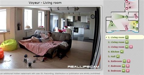 live voaer tube|RealLifeCam